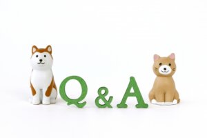 Q&A