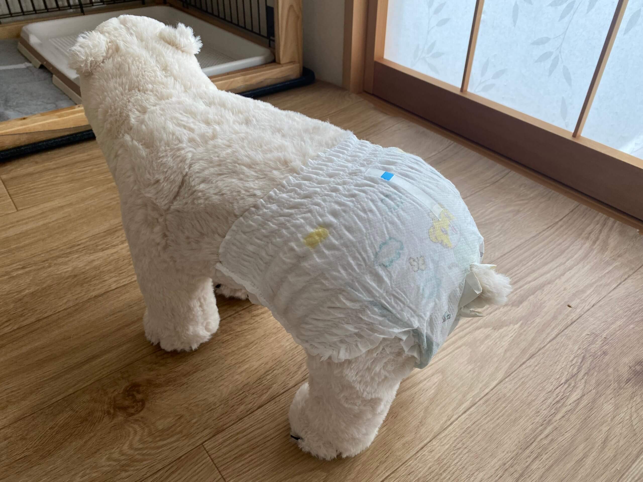 人間用おむつを犬用にアレンジ成功