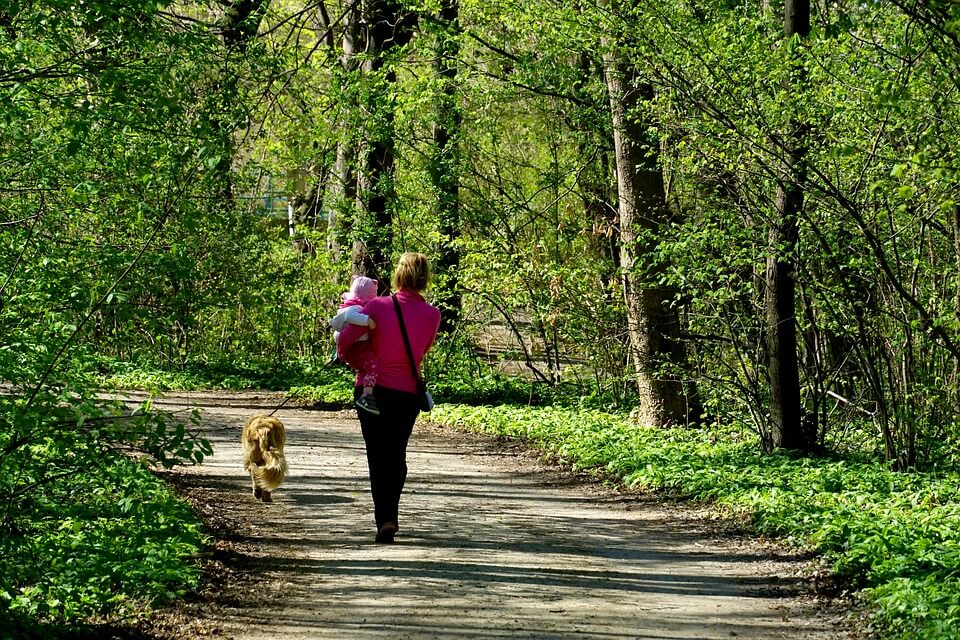 ママと子供と犬のお散歩(森の小道)