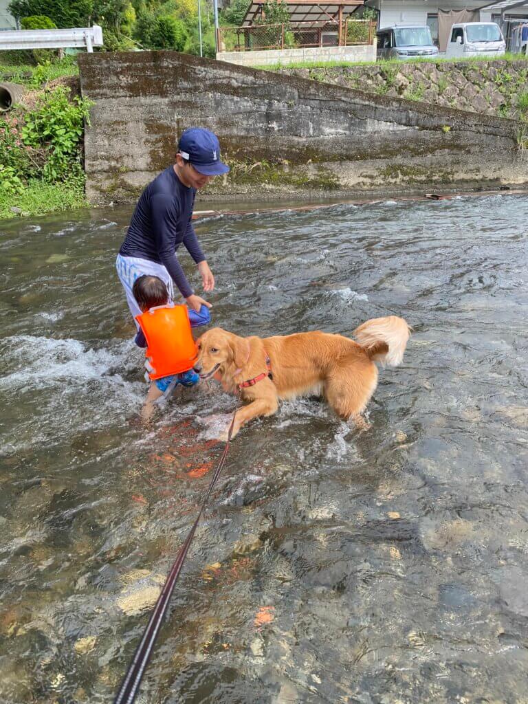 川遊び中の家族と犬