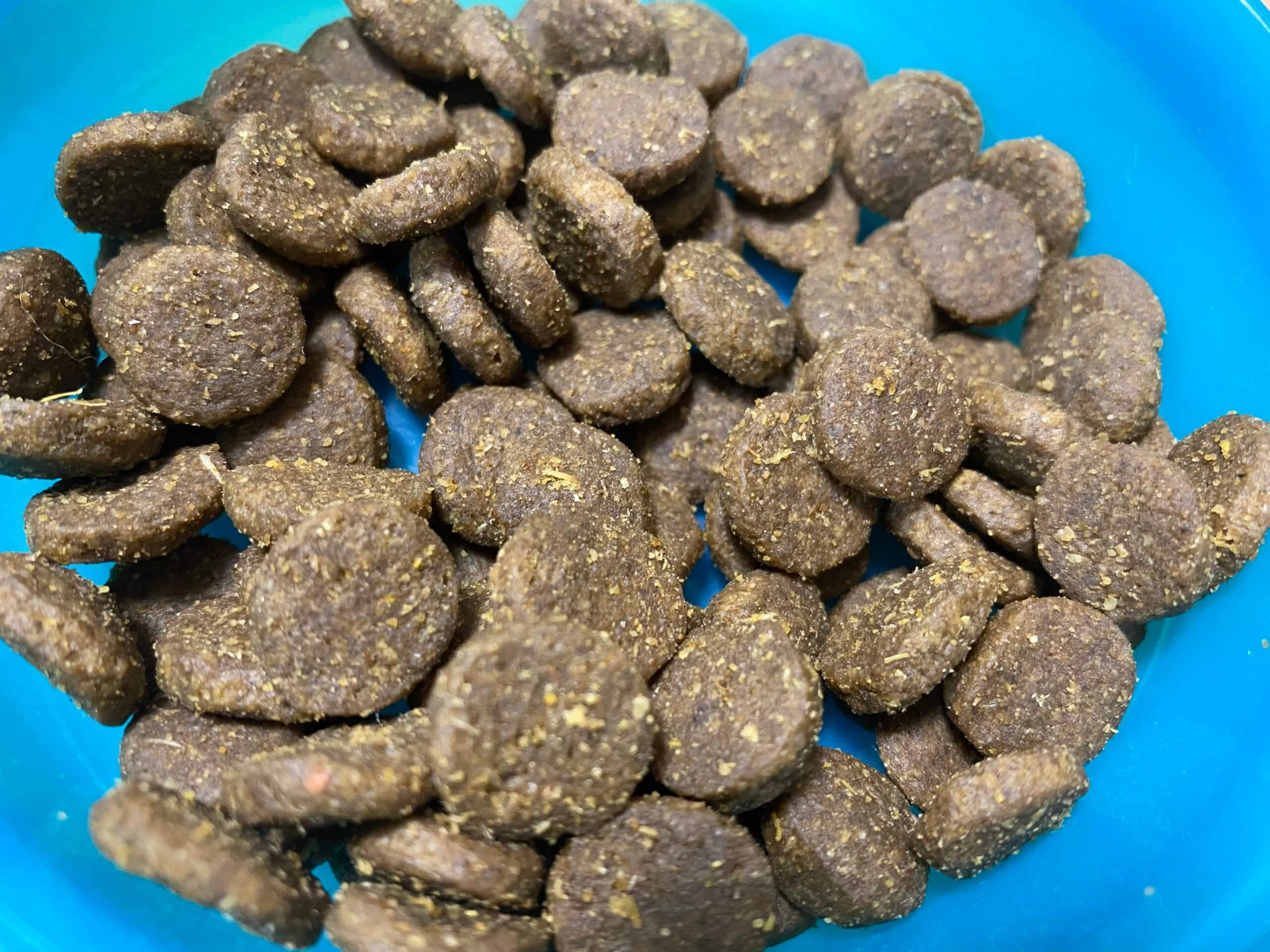 アカナのドッグフード実物