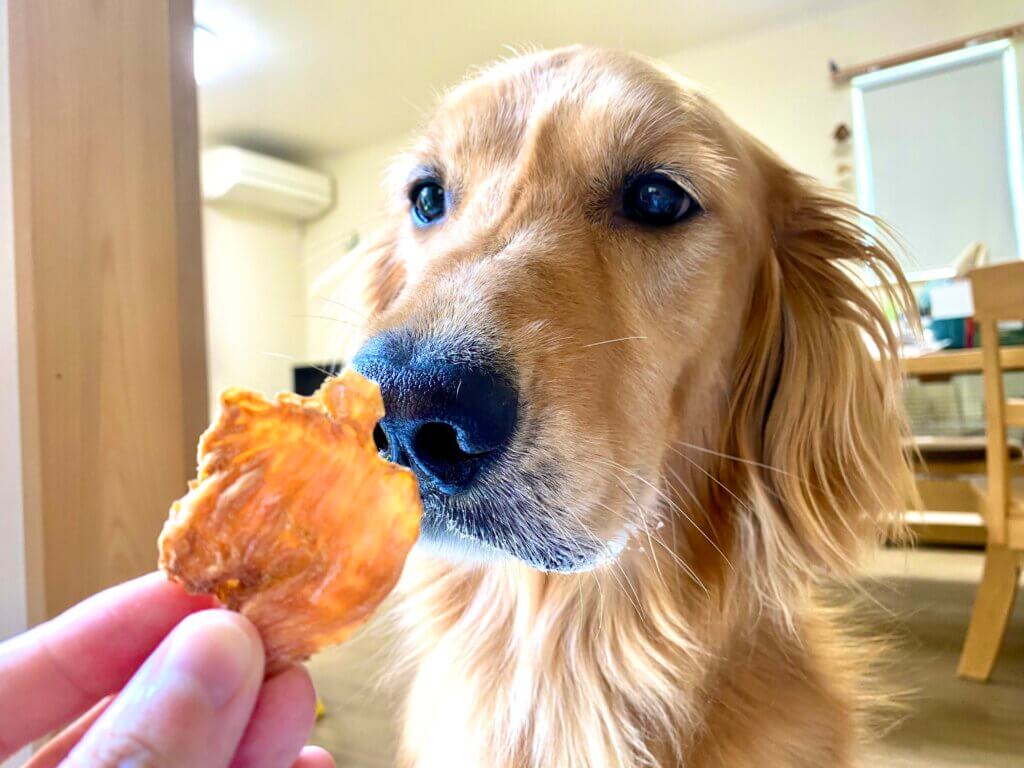 ミニテンダー試食