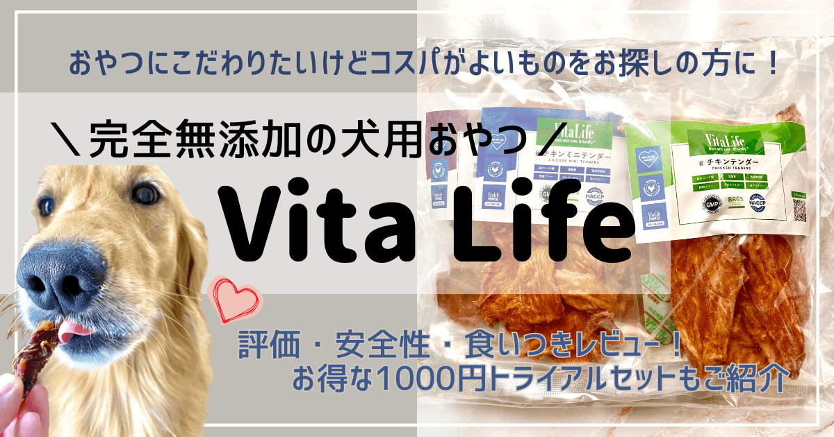 VitaLifeアイキャッチ