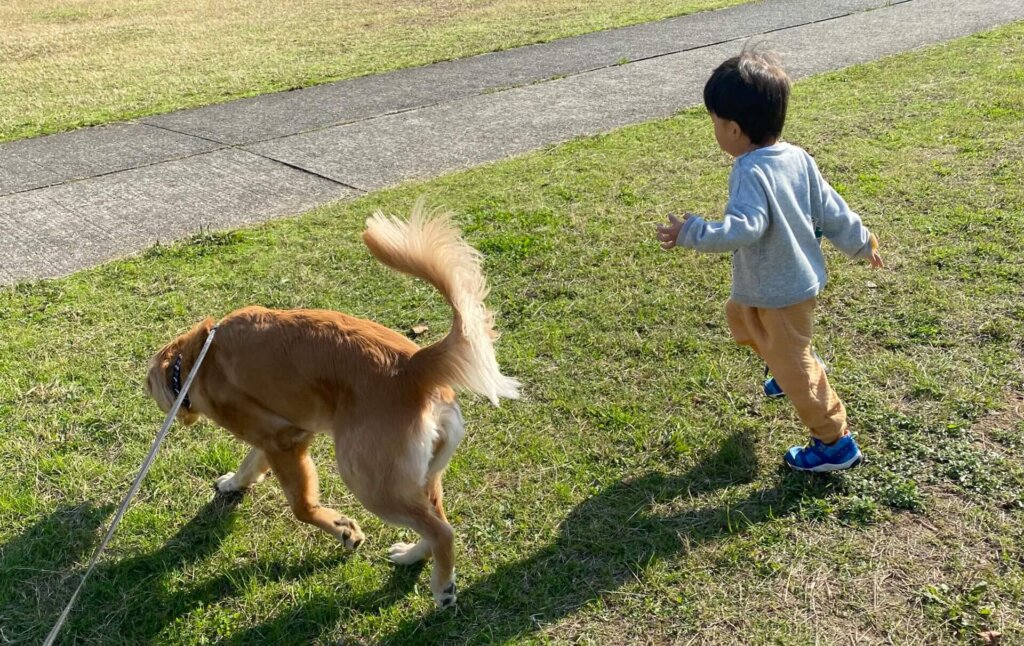 子供と一緒に犬の散歩
