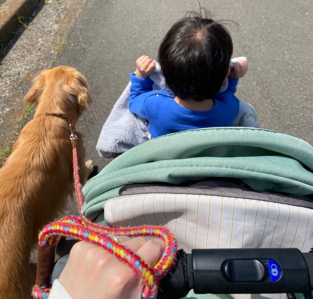 ベビーカーで犬と散歩する